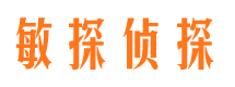 昭平市调查公司